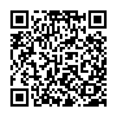QR code for 6411MX