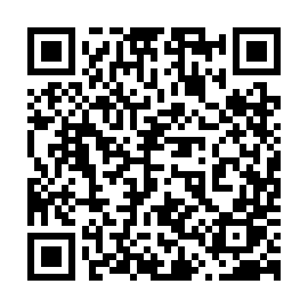 QR code for 6413DP
