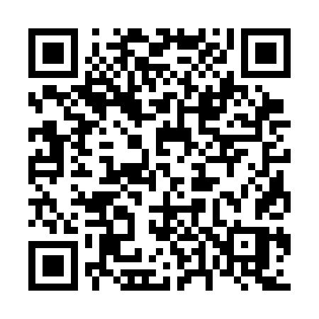 QR code for 6433DS