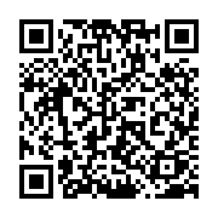 QR code for 6438SP