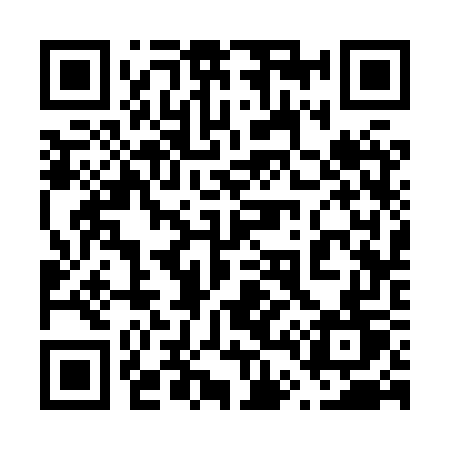 QR code for 6438WT