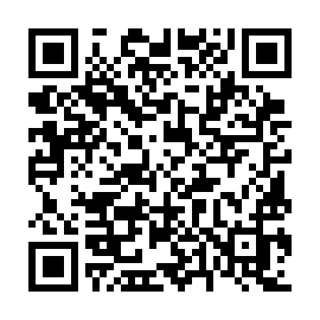 QR code for 6453IJ