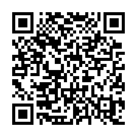QR code for 6463PI