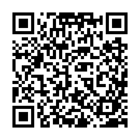 QR code for 6487YO