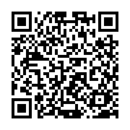 QR code for 6493SO