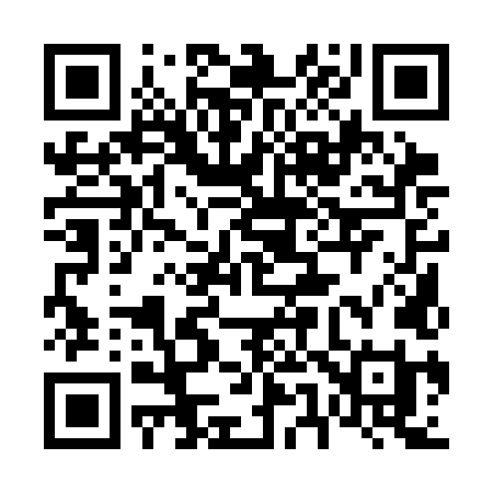 QR code for 6513LI