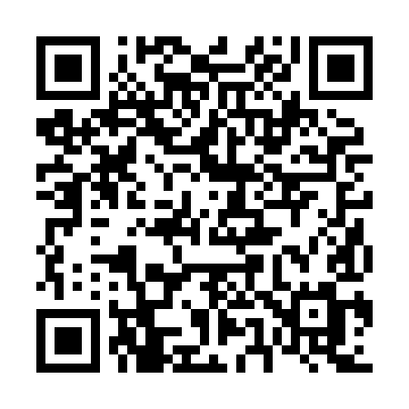 QR code for 6528IM