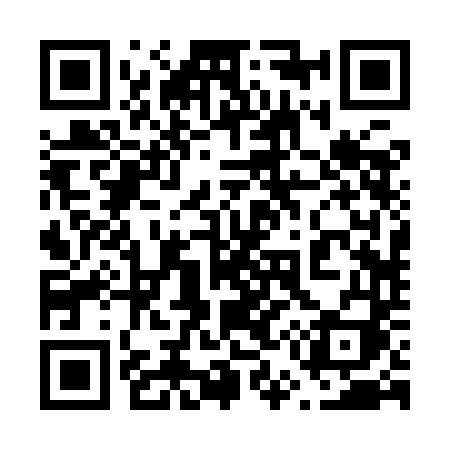 QR code for 6529DI
