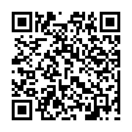 QR code for 6533CF
