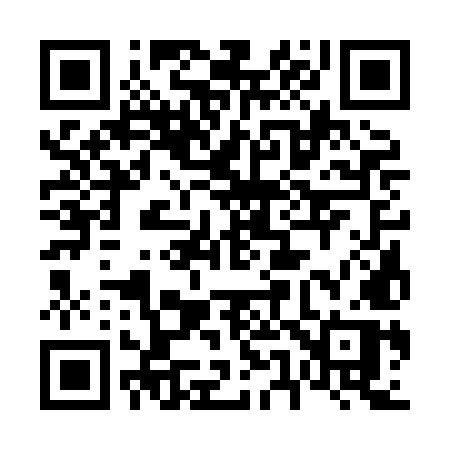 QR code for 6538MP