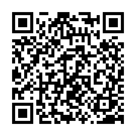 QR code for 6538WS