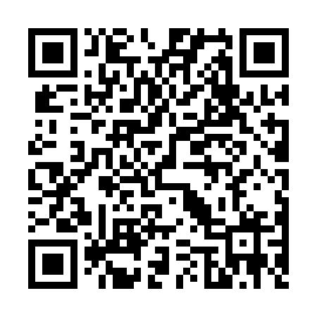 QR code for 6541GX