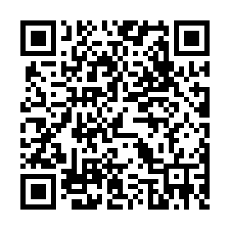 QR code for 6541OW