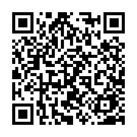 QR code for 6541ZE
