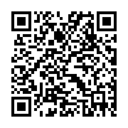 QR code for 6545XE