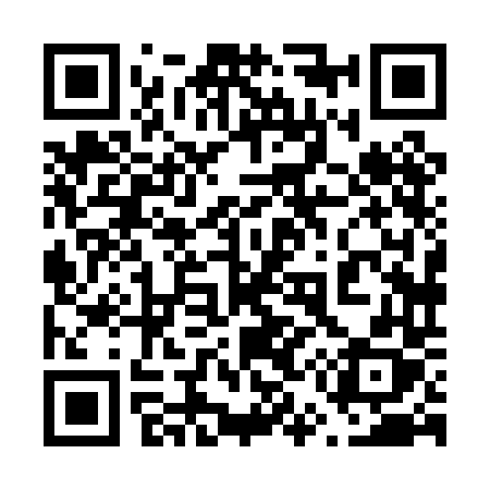 QR code for 6580DX