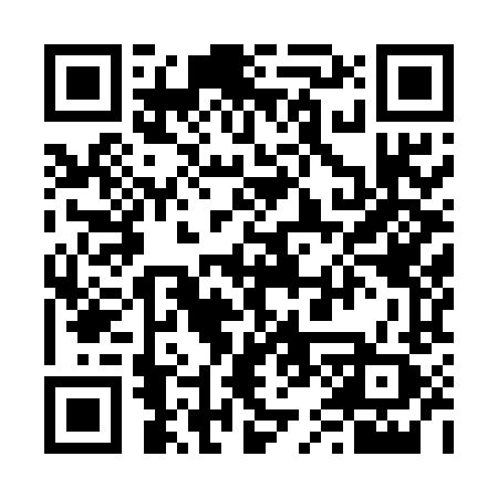 QR code for 6595LZ
