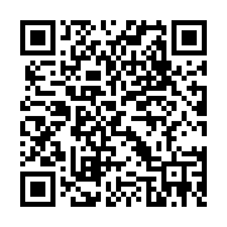 QR code for 6595MT