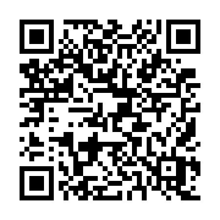 QR code for 6597DT