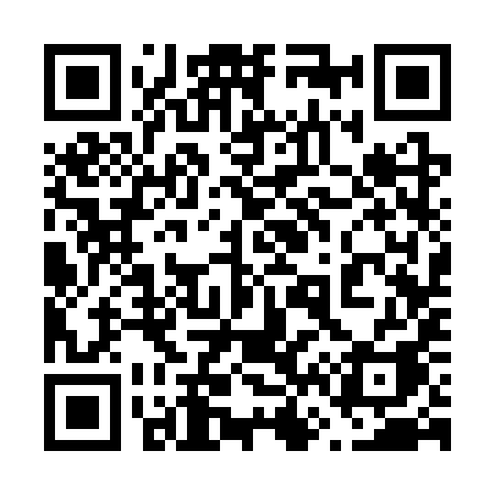 QR code for 6633YA