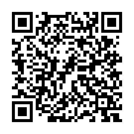 QR code for 6636NT