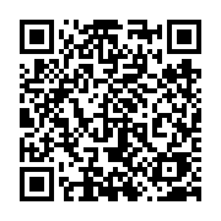 QR code for 6636SE
