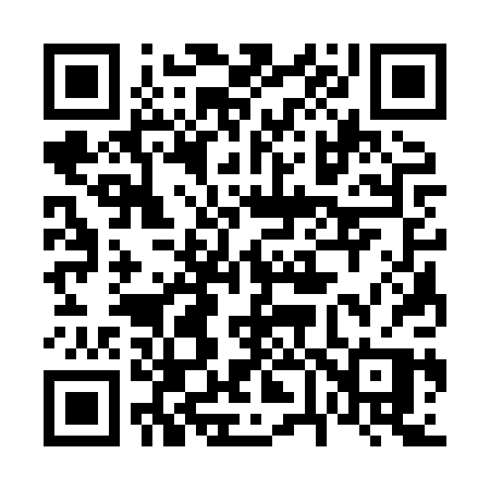 QR code for 6638PP