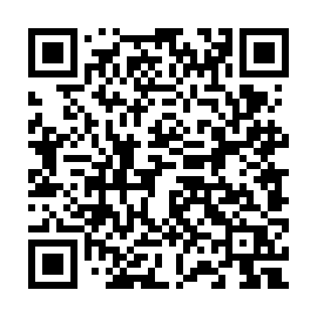 QR code for 6646JP