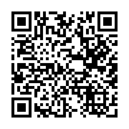 QR code for 6653LI