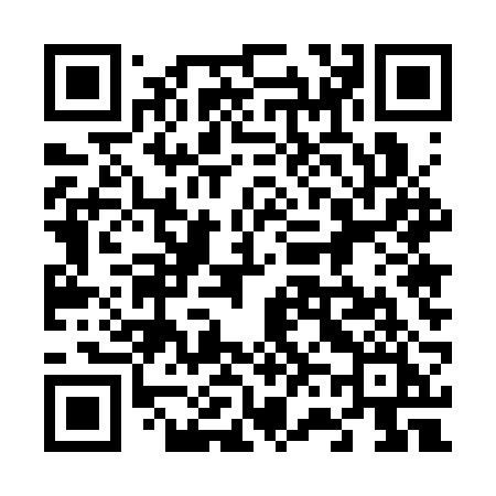 QR code for 6653RI