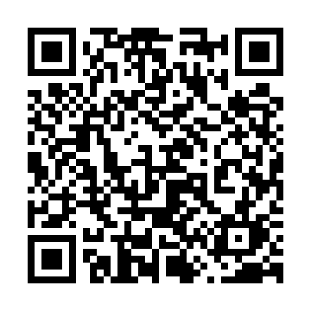 QR code for 6655SL