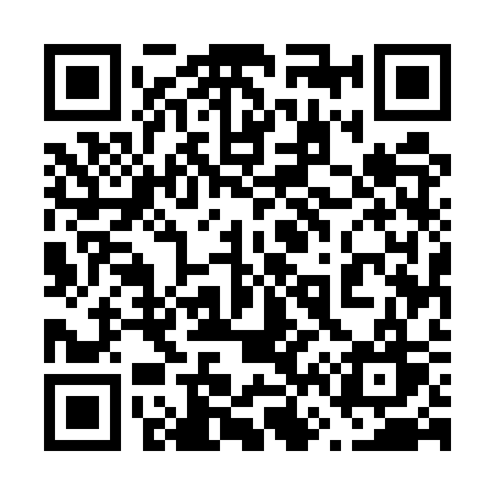 QR code for 6655SW