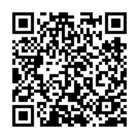 QR code for 6656AU