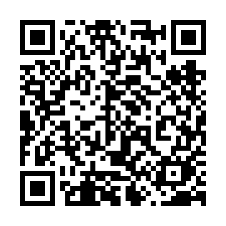 QR code for 6656EM
