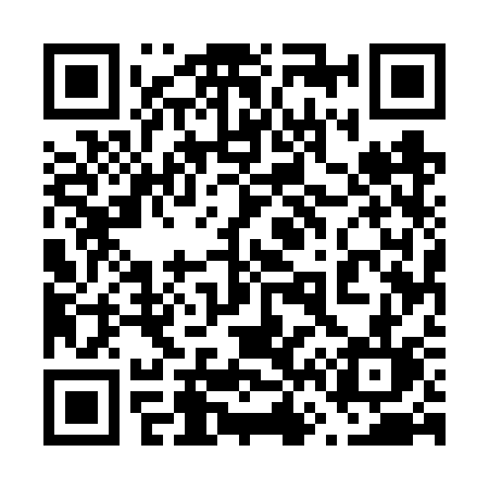 QR code for 6656SL