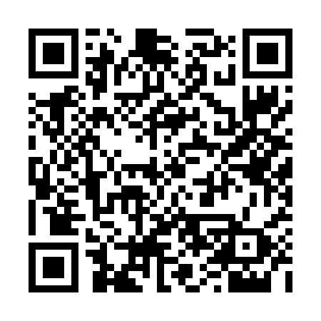QR code for 6656SX