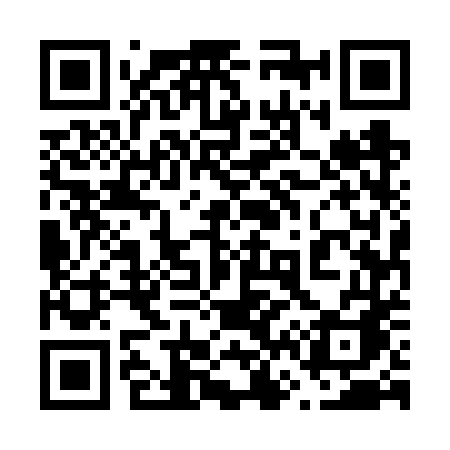 QR code for 6656TA