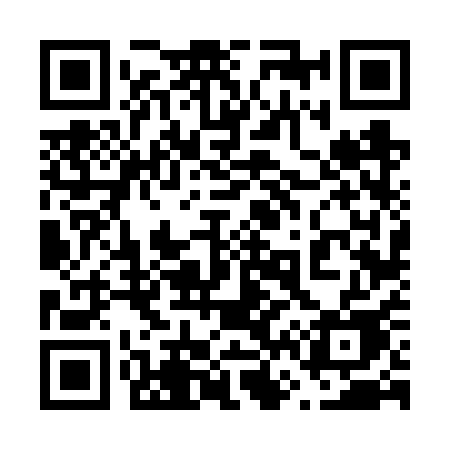 QR code for 6666QE