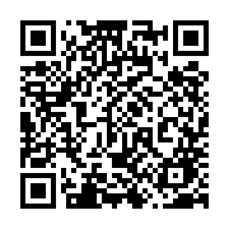 QR code for 6675MG