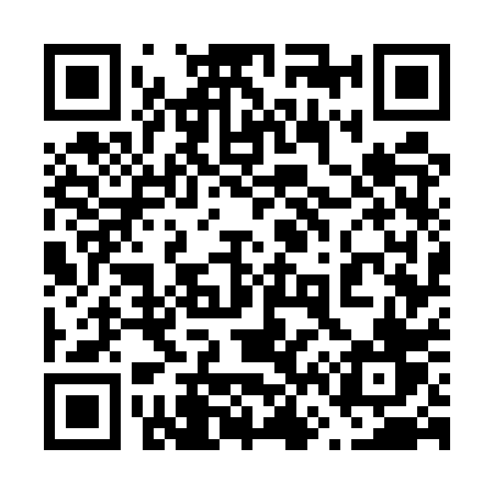 QR code for 6675PV