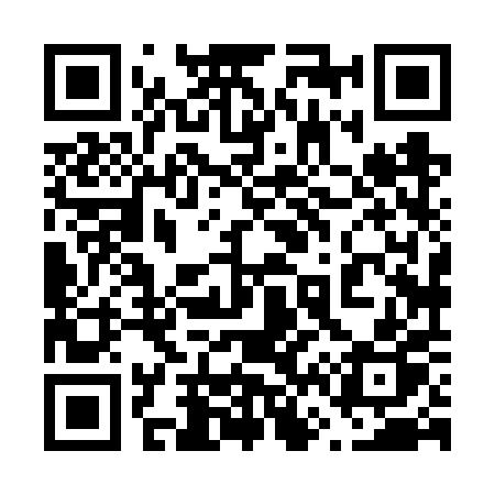 QR code for 6686PP