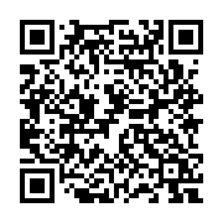 QR code for 6691ZV
