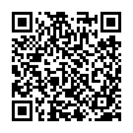 QR code for 6696XL