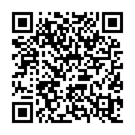QR code for 6969TI