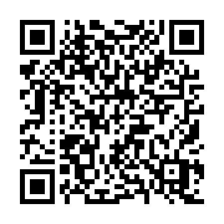 QR code for 6991PT