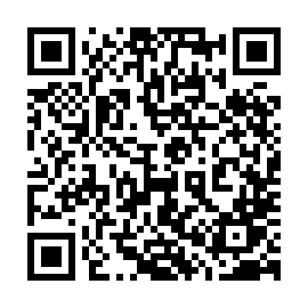 QR code for 7038LT