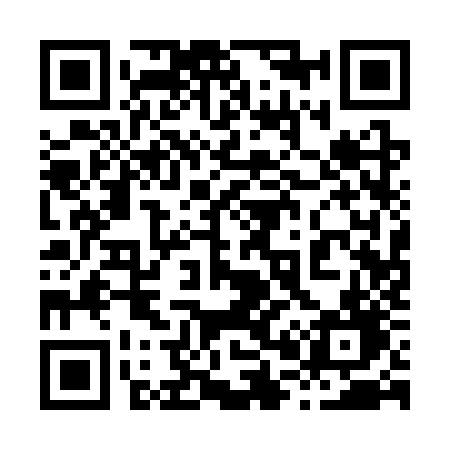 QR code for 8013ZD