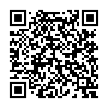 QR code for 8038IR