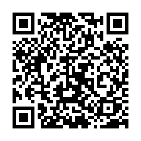 QR code for 8038SP
