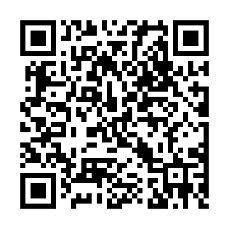 QR code for 8171IR